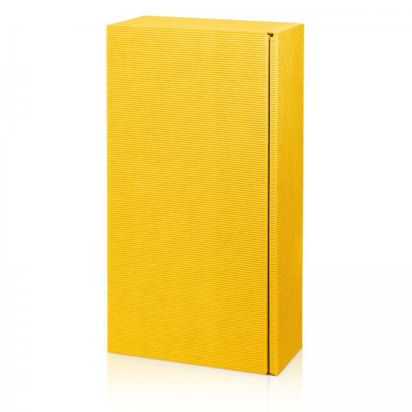 „Modern Gelb“, 2er Präsentkarton